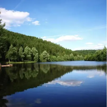 Апартаменты Frisch Sanierte