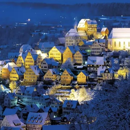 Apartamento Frisch Sanierte Altensteig